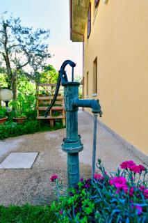 Welcome Traveller DIVINE CÉCILE - Garda - 5