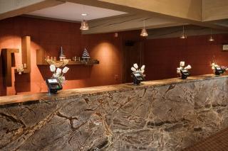 Lake Lawn Resort - Delavan - 7