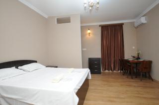 SHAKO's Apartments - Tbilisi - 5