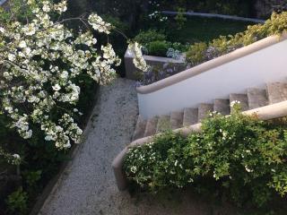 Villa Branca Jacinta - 3