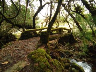 Casa de piedra El Colibrí - 3
