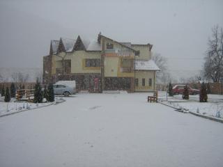 Pensiunea Floare de Colţ - 3