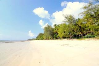 Kaskazi Beach house - Msambweni - 7