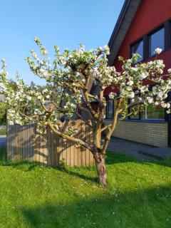 Summers Paradise - 4