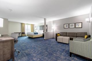 Comfort Suites Humble Houston IAH - Humble - 8