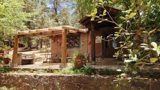 Cabañas Tapalpa Sierra del Tecuan, Cabaña Patos - Tapalpa - 0