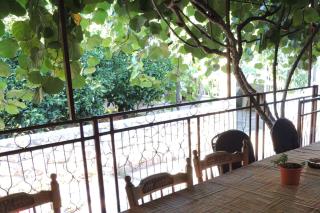 Apartments with parking space Mirca, Brac - 2838 - Mirce - 3