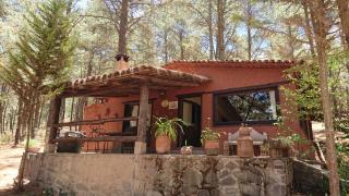 Cabañas tapalpa Sierra del Tecuan, Cabaña Tejón - Tapalpa - 7
