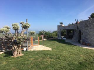 Datça Vineyard Guesthouse - Over 14 years old only - Datça - 1