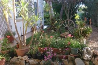 Mikros Paradisos - 6