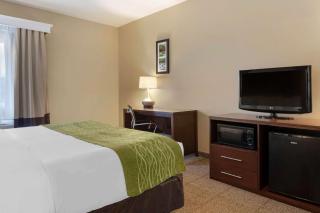 Comfort Inn US 60-63 - Willow Springs - 1