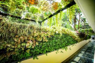 Hotel Villa Maryam - Kozhikode - 7