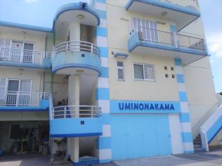 Umi no Nakama - Isola di Ishigaki - 0
