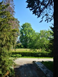 Le 5 Frecce - Cavour - 2