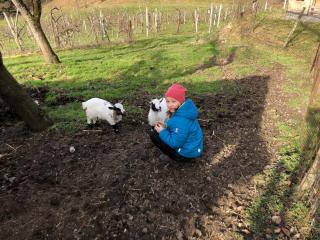 Bio-Hof Windhaber - 3