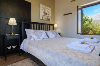Casa Vasilia Traditional Home - 3
