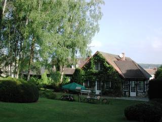 La Croix du Reh - Châteauneuf-la-Forêt - 4