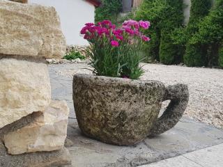 Casa Bergwald - 5
