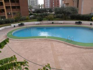 KAROLA - FINCAS ARENA - Benidorm - 9