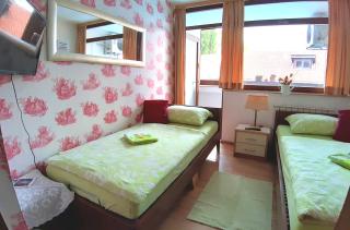 Hostel Pansion Lion - Sarajevo - 8