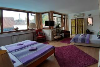 Hostel Pansion Lion - Sarajevo - 6