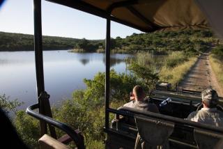 Premier Resort Mpongo Private Game Reserve - Macleantown - 8