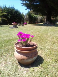 Mamena - Paestum - 4