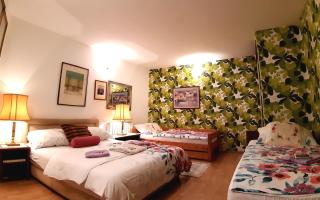 Hostel Pansion Lion - Sarajevo - 5