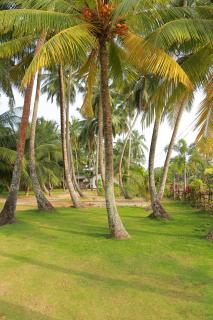 Villa Sea Breeze Hikkaduwa - Hikkaduwa - 7