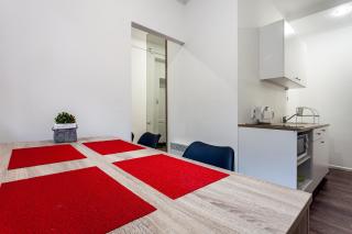 Modern apartment in Lviv historic center. - Lviv - 7