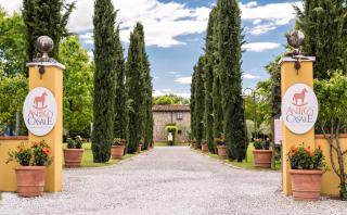 Antico Casale - Sarzana - 0