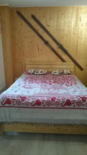 Le Perce Neige - Vaujany - 3