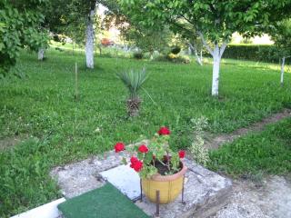 Apartment Yasica 2 - 2