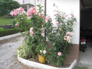 Apartment Yasica 2 - 1