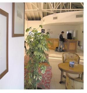 Elegance Hotel - Tres Arroyos - 5