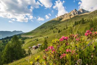 Residence Bannwald - Gsies - 8