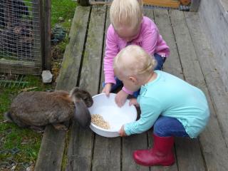 Residence Bannwald - 1