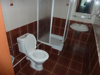 Hotel Flora Dolní Mísečky - Dolni Misecky - 3