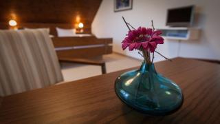 Gasthaus zum Hirsch - 1