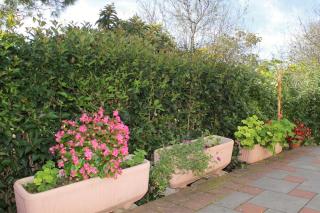 Family-friendly apartments with swimming pool Privlaka, Zadar - 5762 - 3