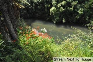 Water's Edge City Retreat - 2