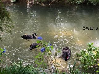 Water's Edge City Retreat - 1