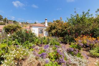 El Sitio La Rosa - Villa de Mazo - 0