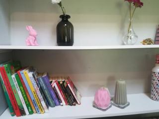 Studio avec jardin à 5 min du Parc Walibi - 6