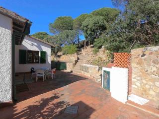 Ammiraglio - Campese - 2