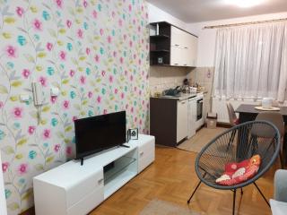 apartman Gledovic 1 - 2