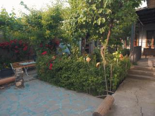 Sofia's Beautiful Garden - 8