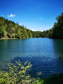 Guesthouse Samolov - Vrhovine - 6