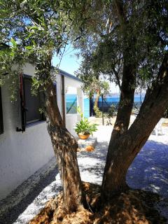 Villa La Plaja - Cefalù - 4