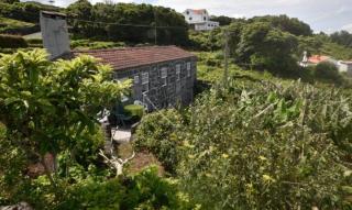 Adega do Gato - Calhau - 9